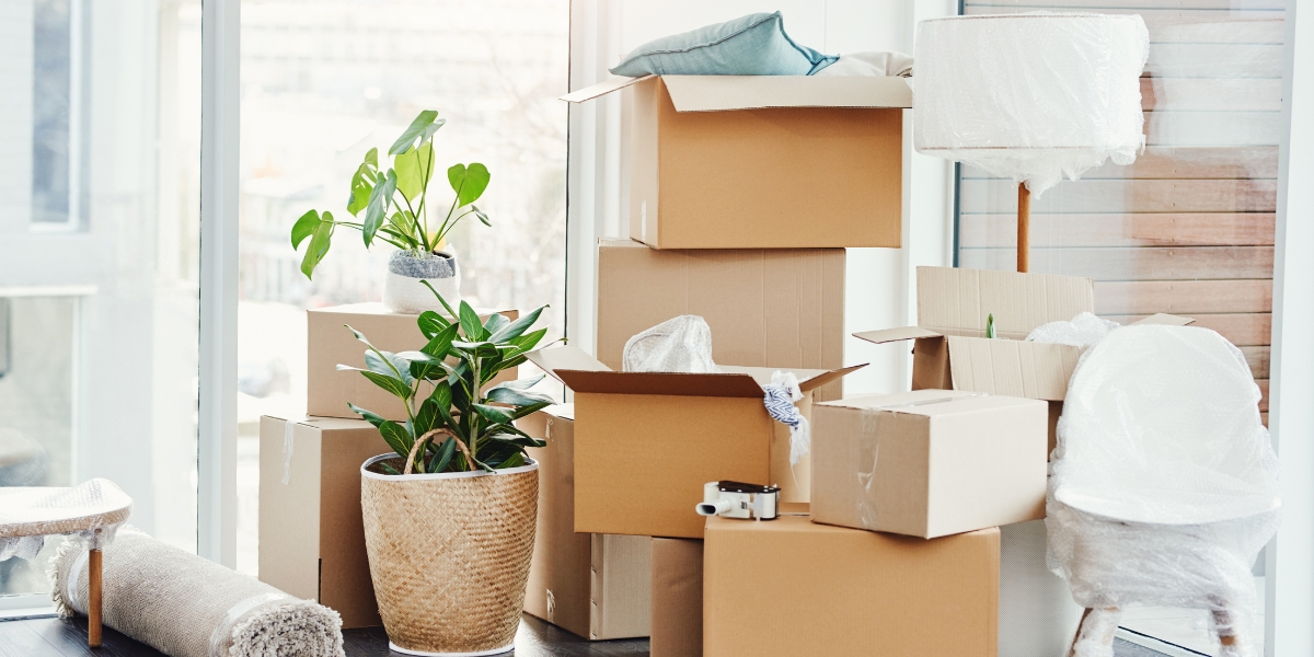 What to Expect from a Deceased Estate Clearance Company in Sydney